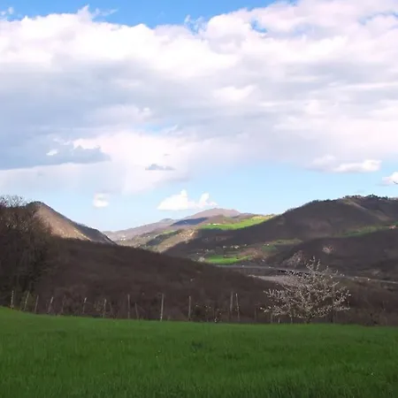 Gardini - Ampio Monolocale In Ex Fienile *