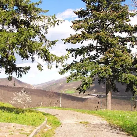 Gardini - Ampio Monolocale In Ex Fienile *